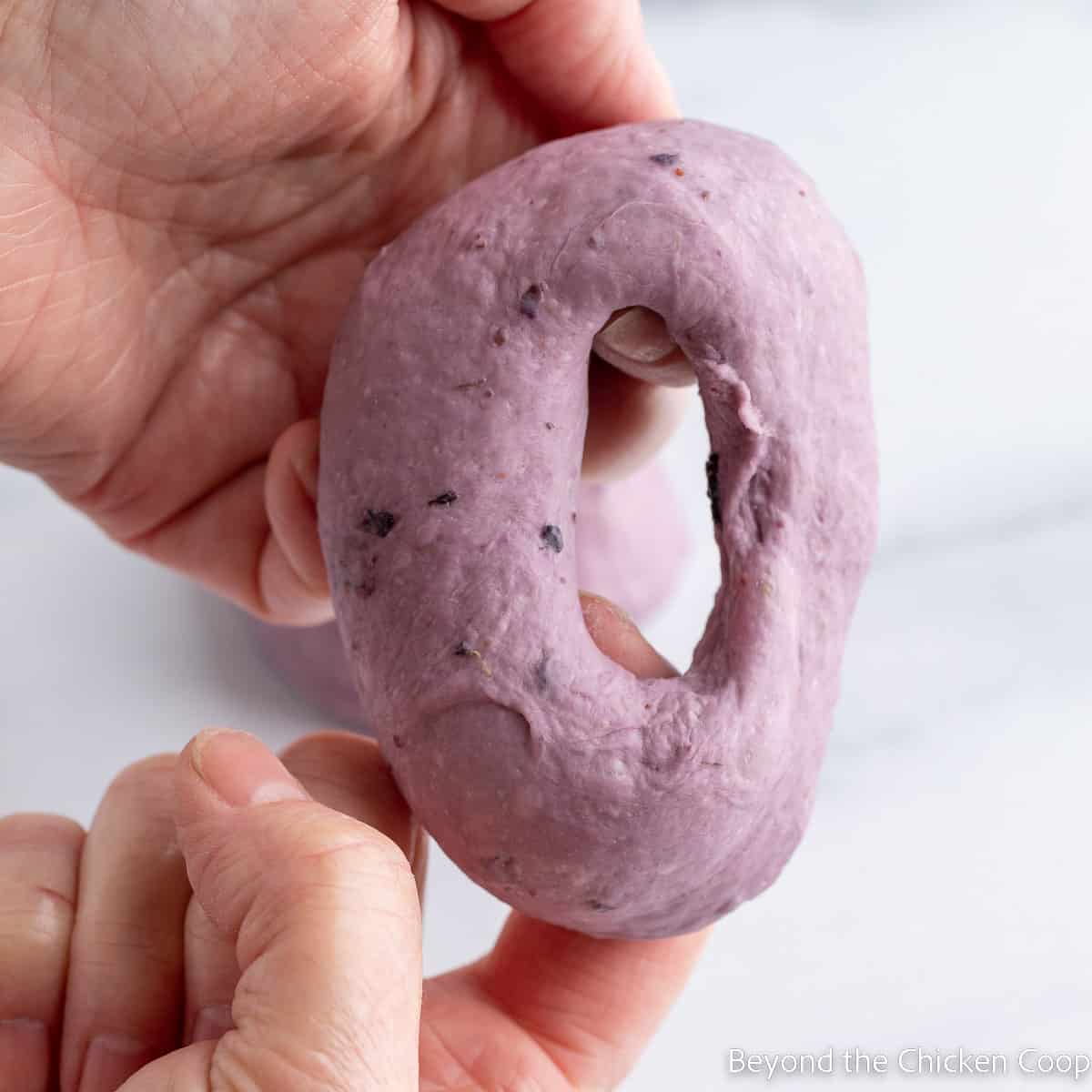 Shaping dough into a bagel shape. 