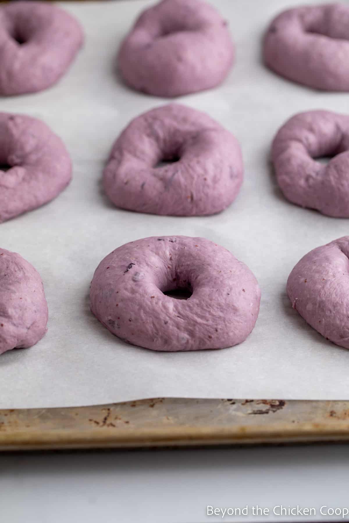 Blueberry bagel dough on a baking sheet.