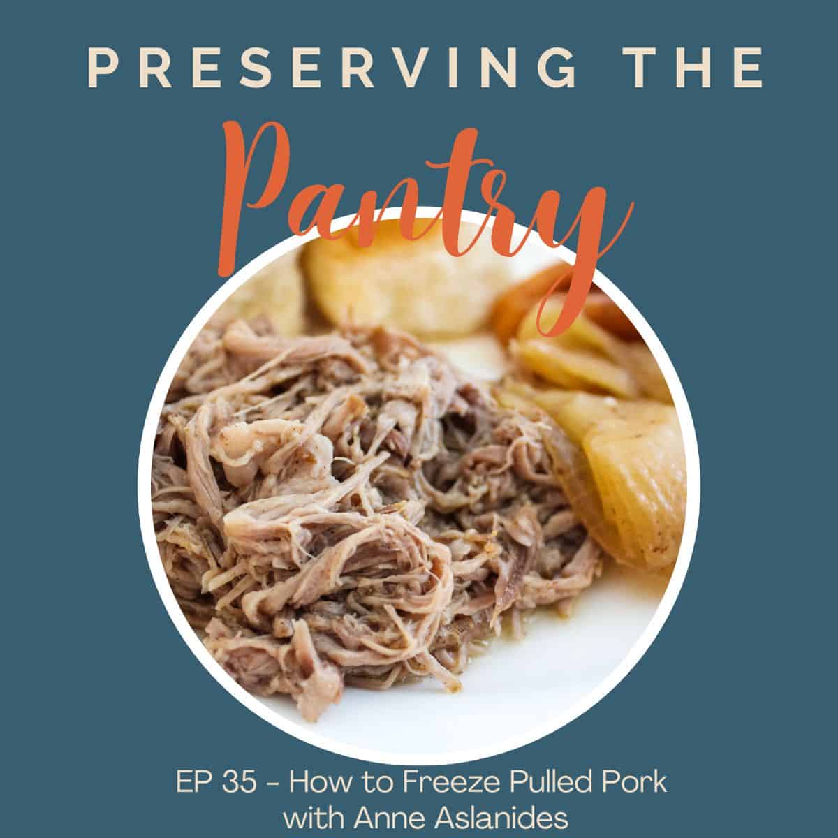 Pulled pork and cooked onions on a white plate.