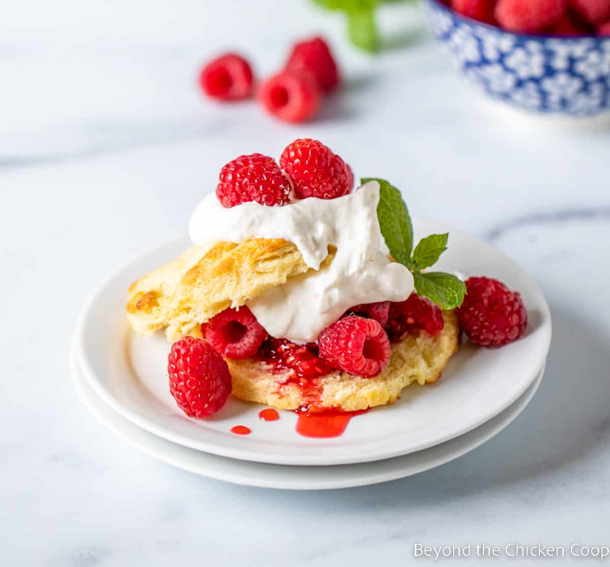 Shortcake filled with fresh raspberries and whipped cream. 