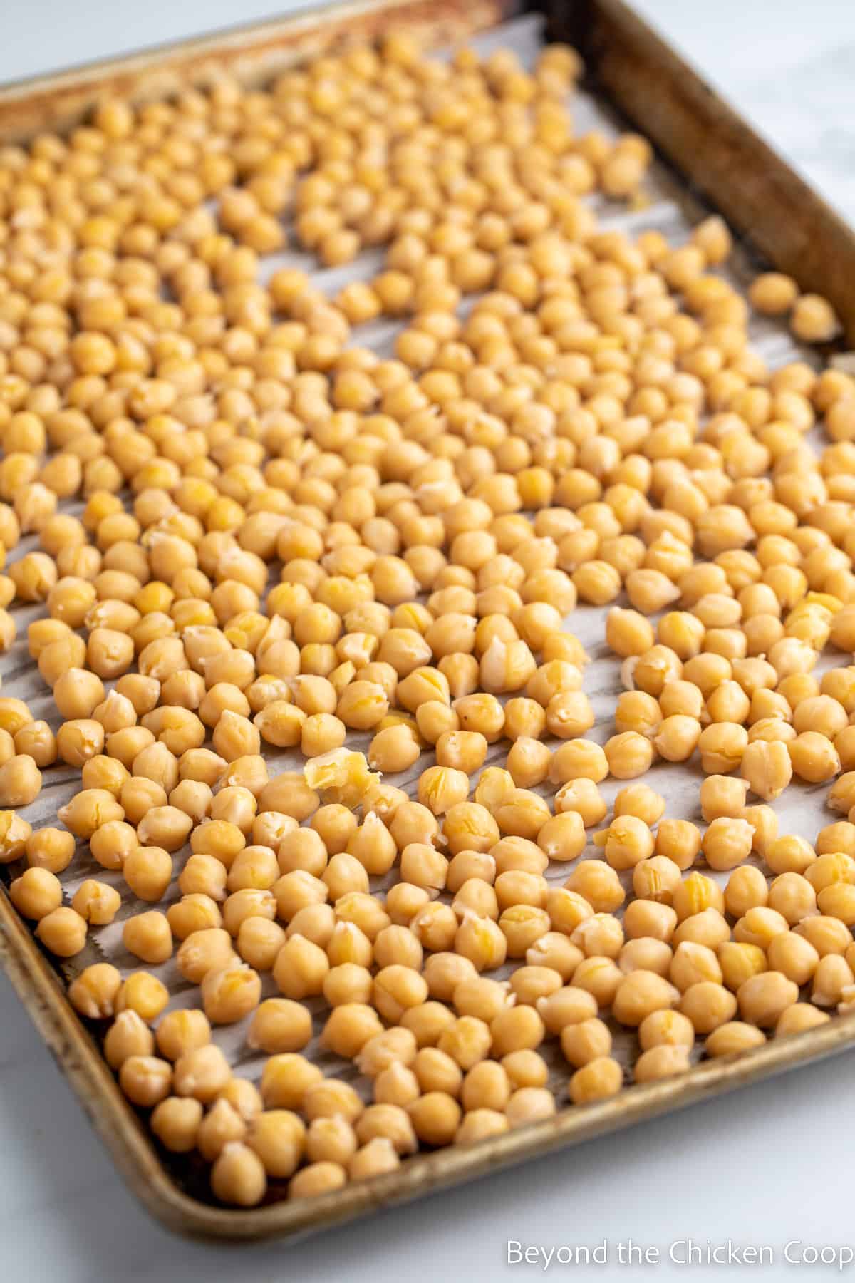 Chickpeas on a baking sheet. 