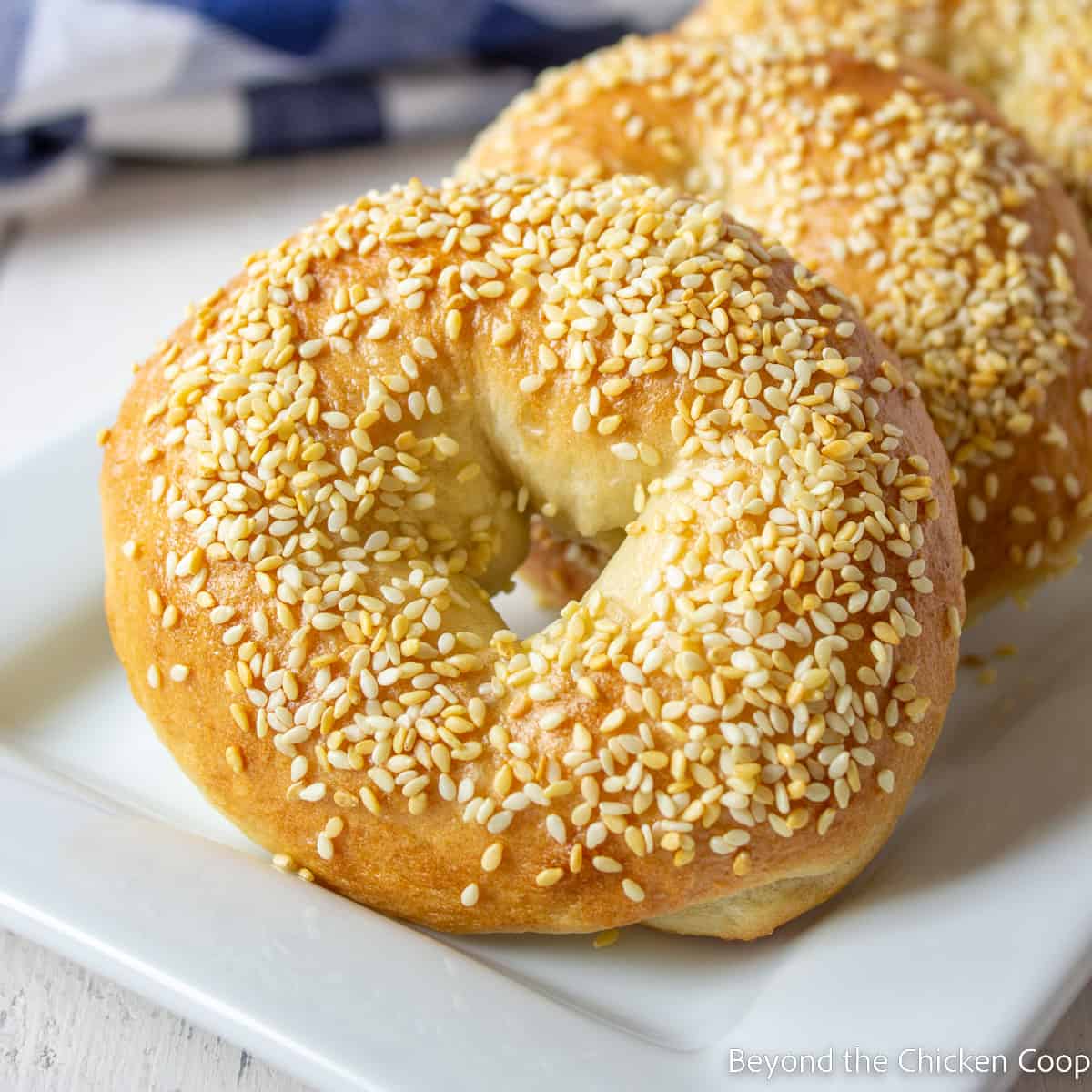 How to Make Homemade Sesame Bagels