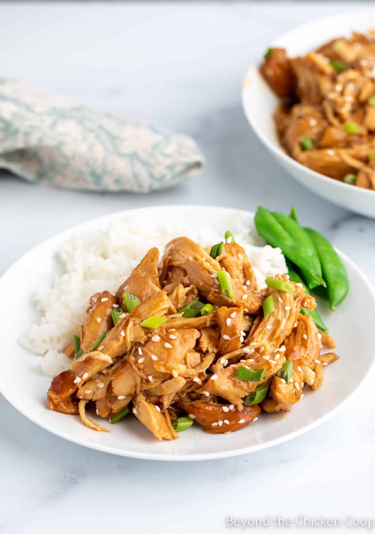 Shredded chicken topped with green onions and sesame seeds on a white plate. 