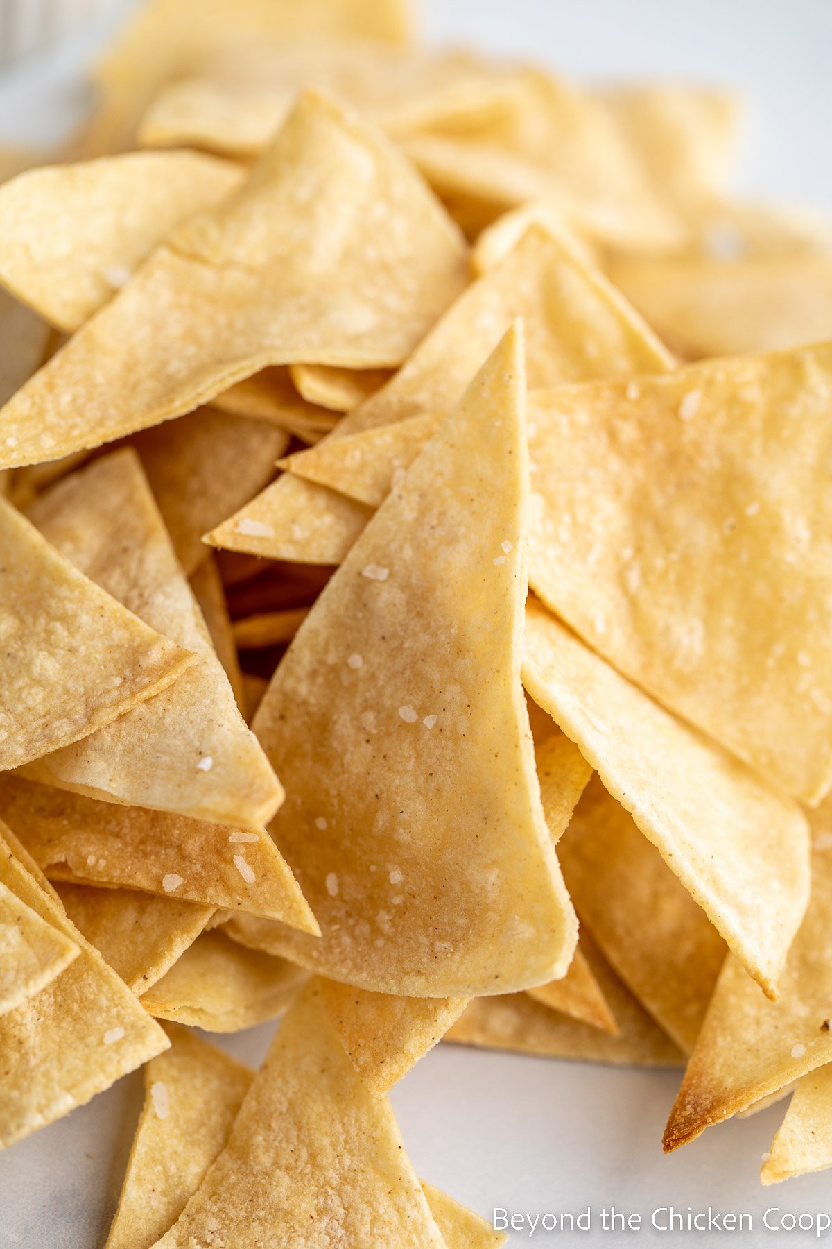 Crispy tortilla chips. 