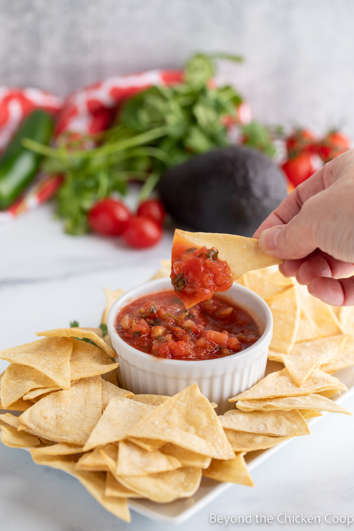 Scooping up salsa with a corn chip. 