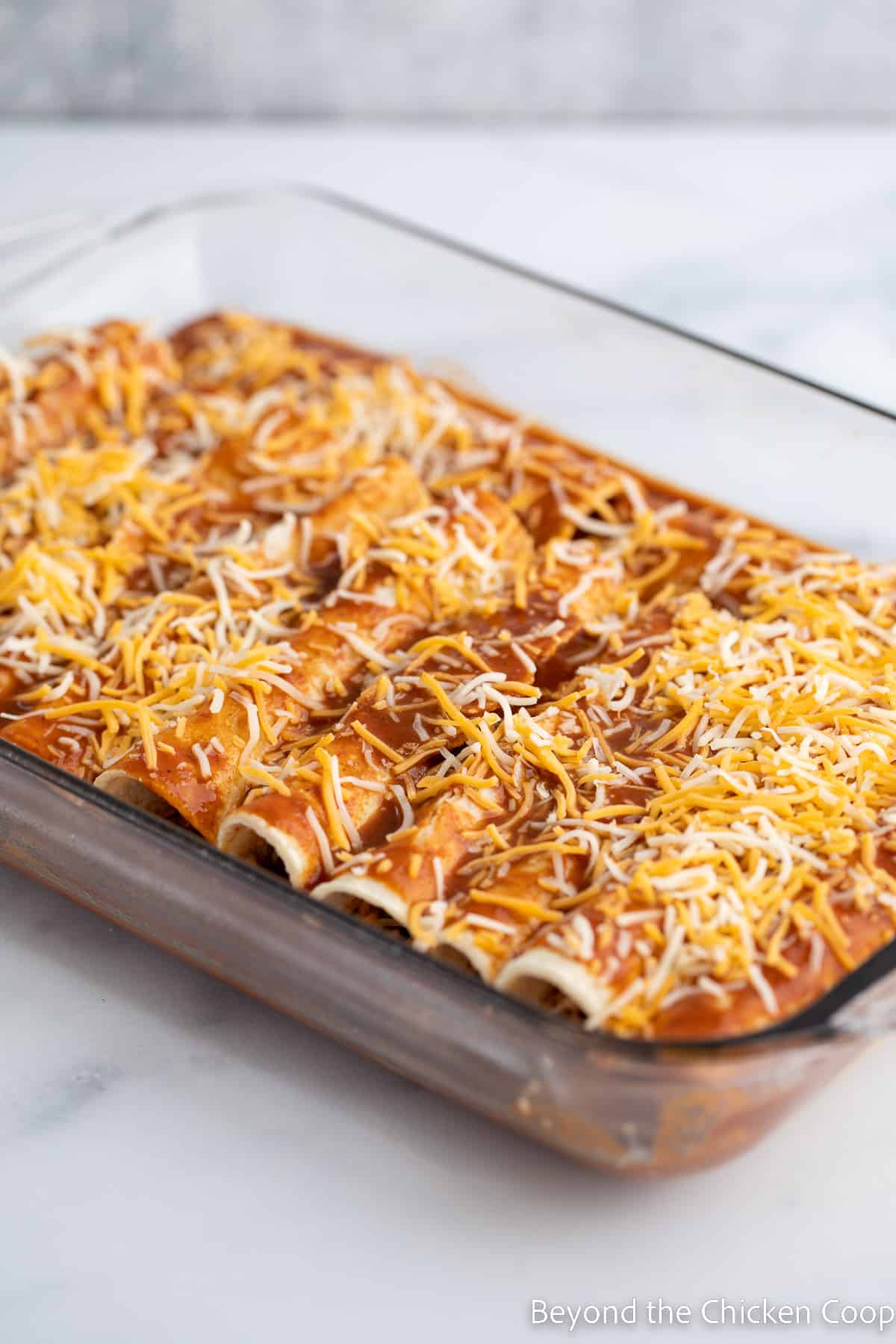 Enchiladas in a baking dish. 