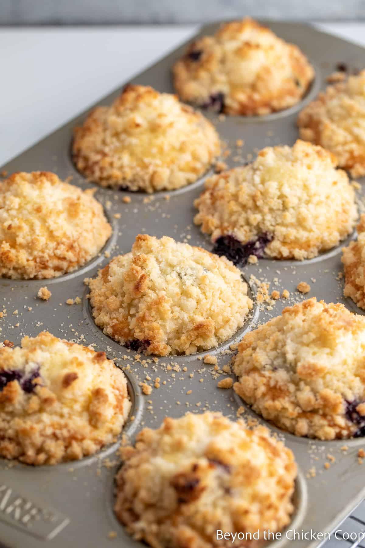 A muffin tin filled with baked blueberry muffins. 