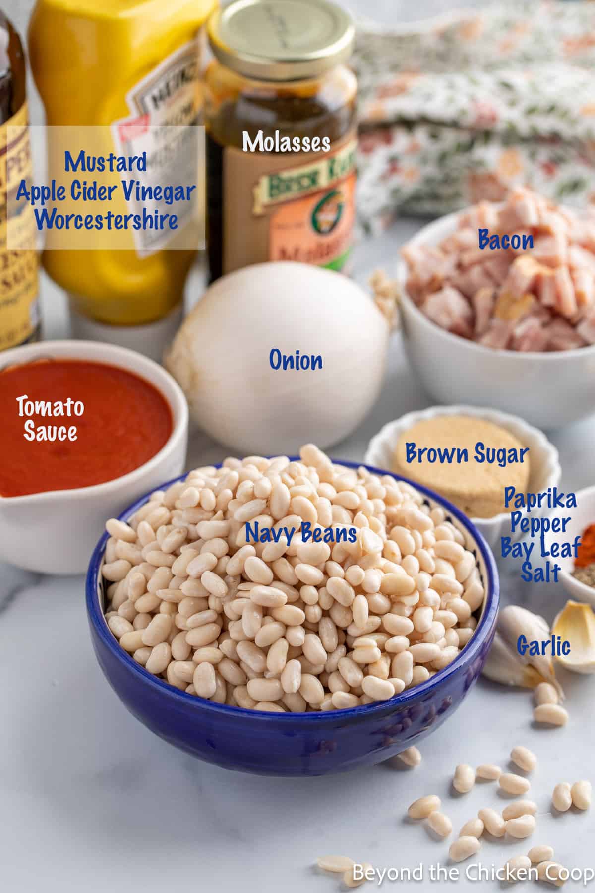 Ingredients for baked beans. 