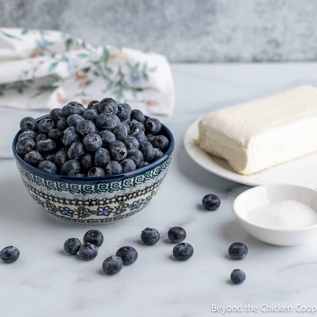 A bowl of fresh blueberries. 