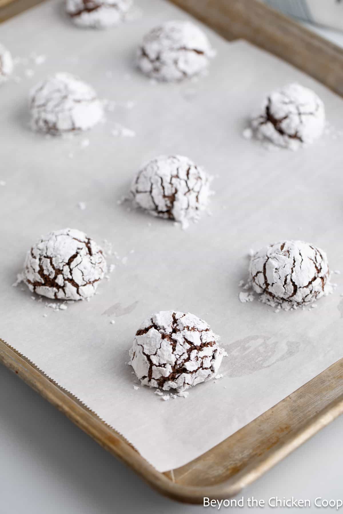 Baked cookies with powdered sugar. 