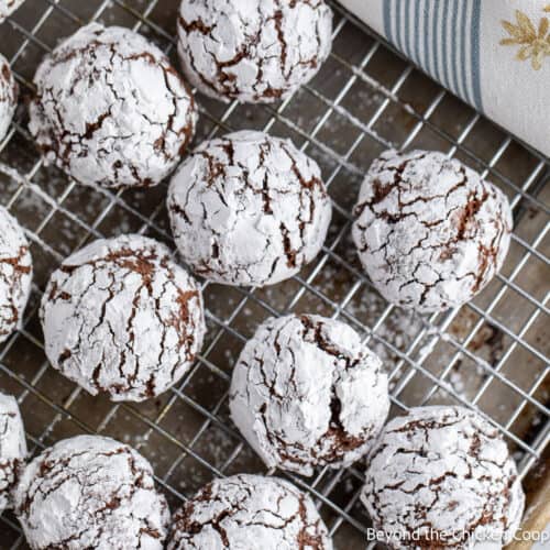 Chocolate-Crinkle-Cookies-3-