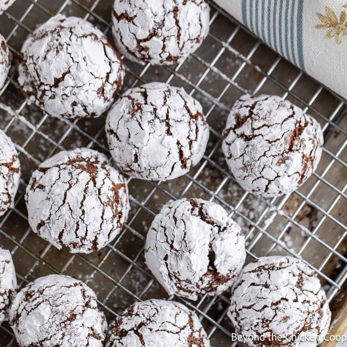 Chocolate cookies with powdered sugar on a baking rack.