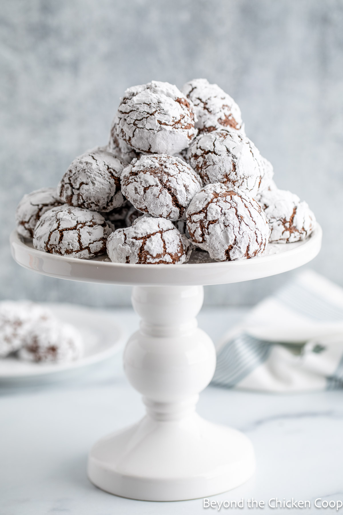 A white cake stand topped with chocolate cookies. 
