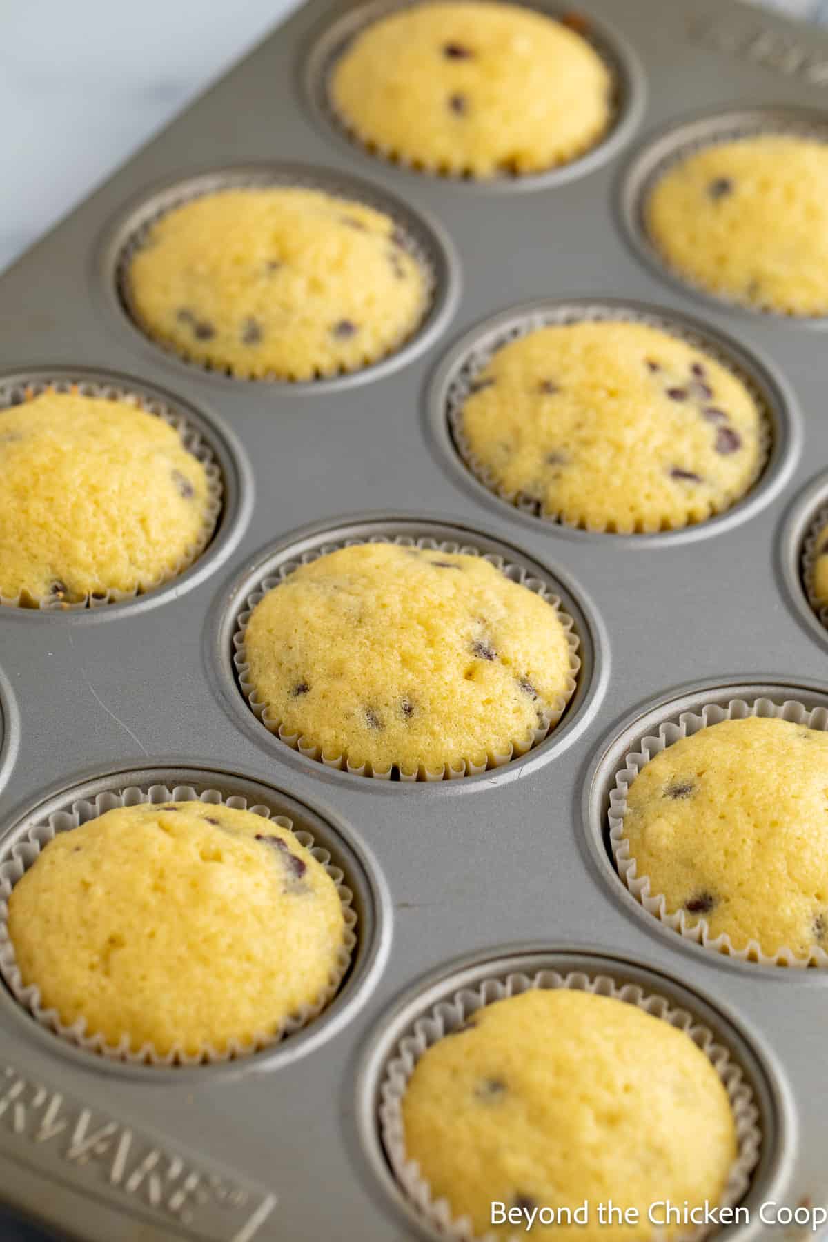 Baked cupcakes in muffin tin. 