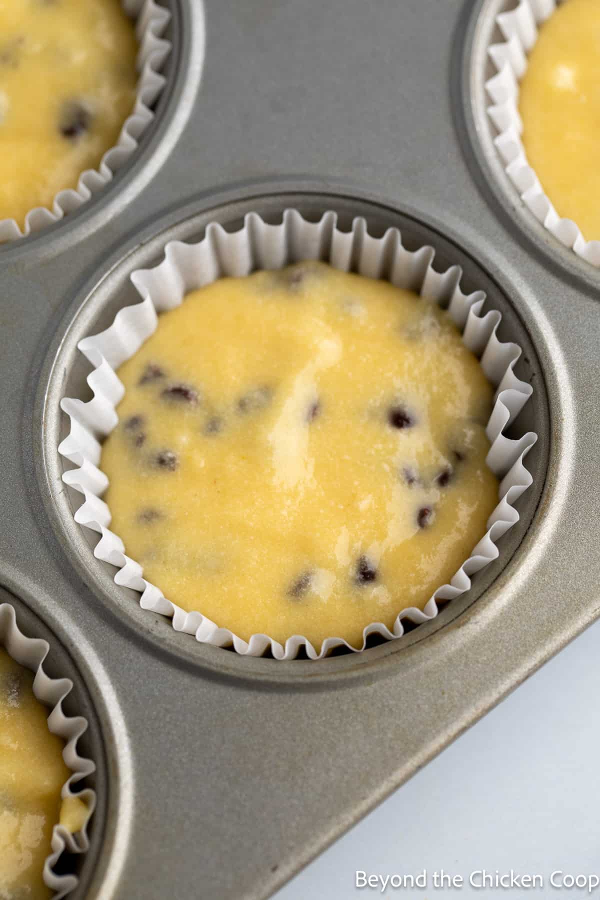 Cake batter in a muffin tin. 