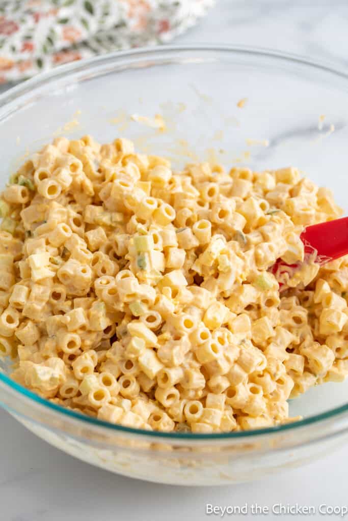 Pasta salad in a large glass bowl. 