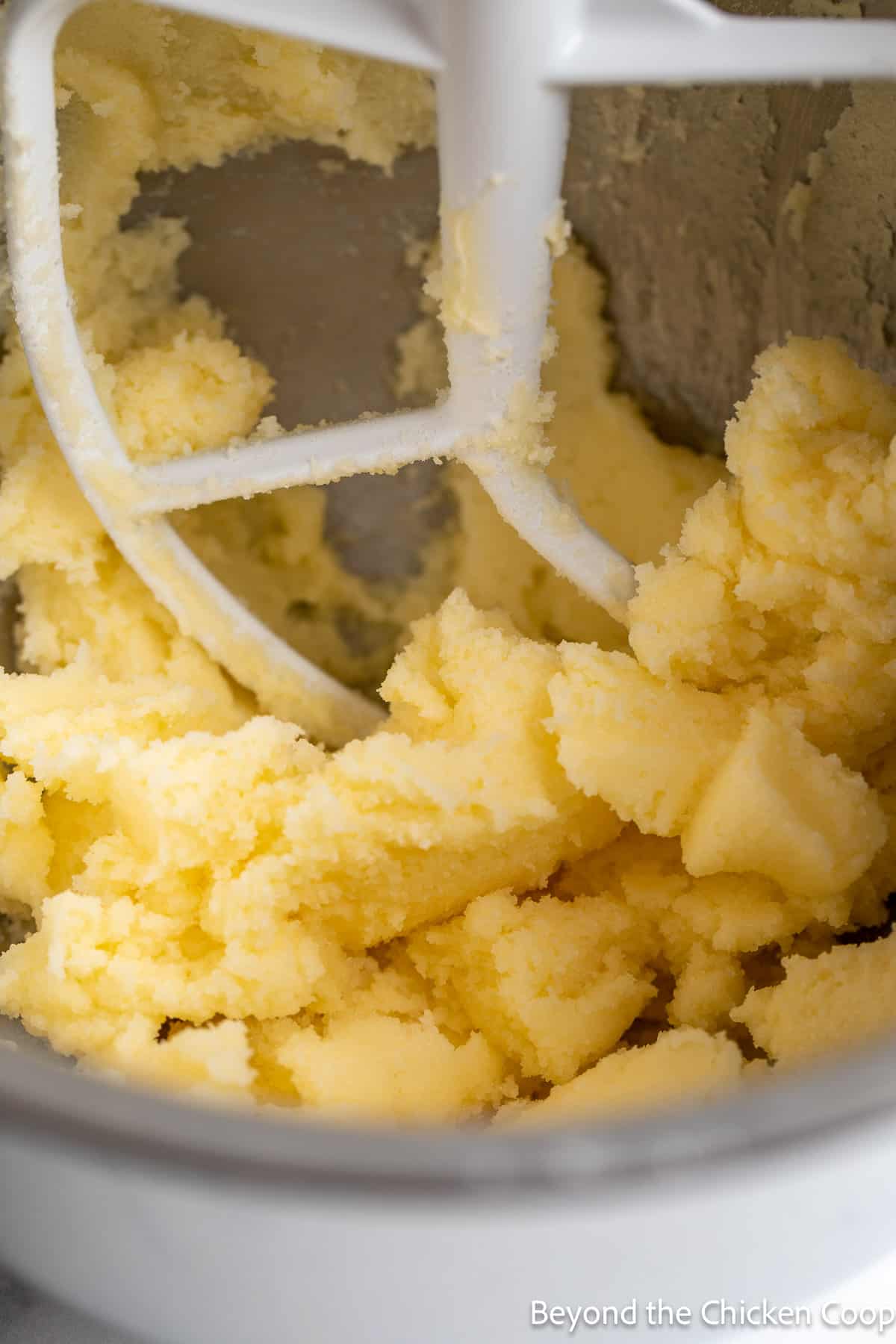 Butter and sugar in a mixing bowl. 