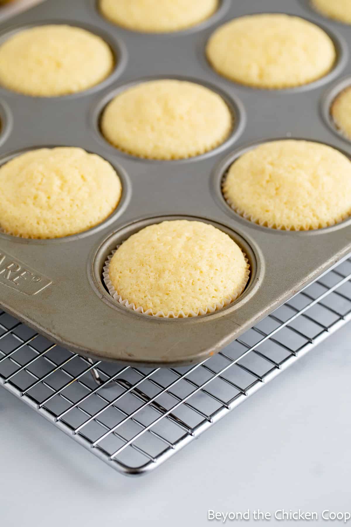 Baked cupcakes in a muffin tin. 
