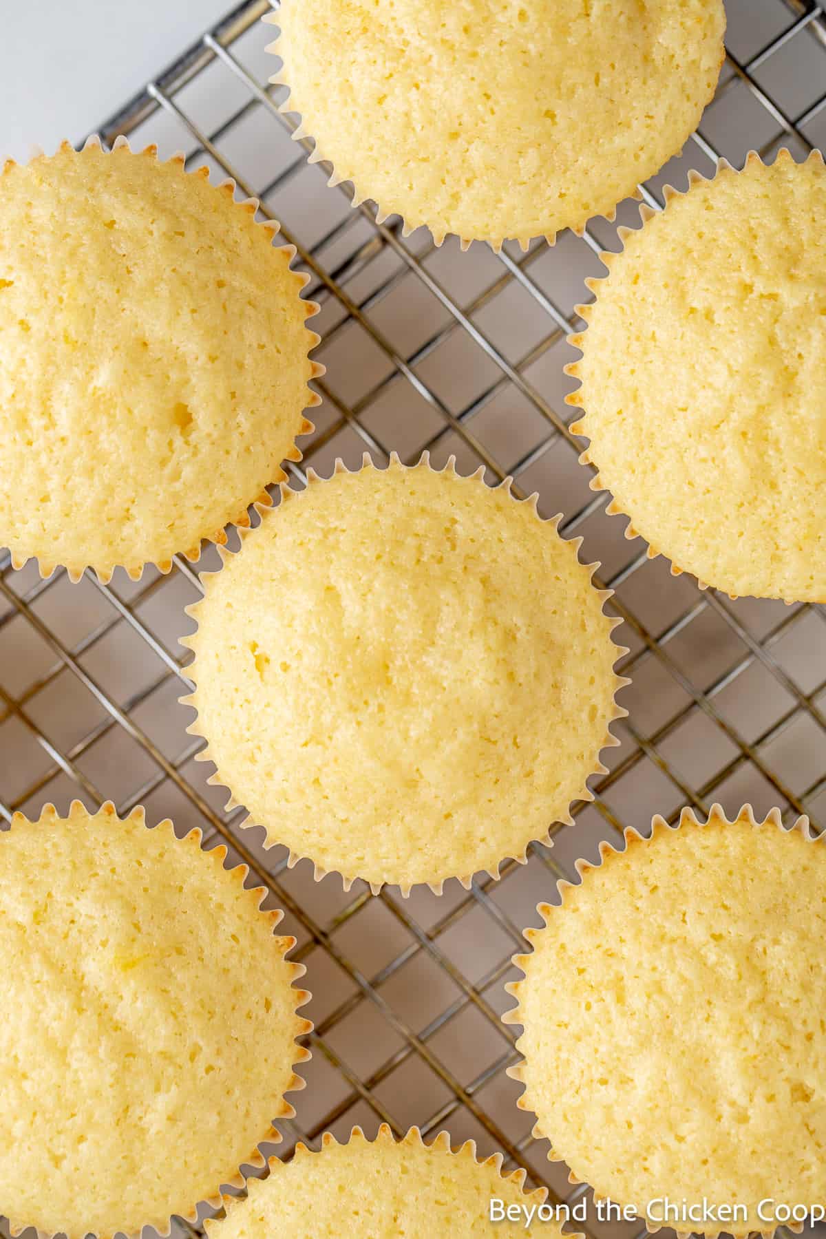 Yellow cupcakes on a baking rack. 