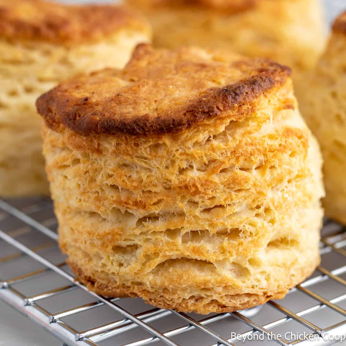 A flakey buttermilk biscuit on a baking rack. 