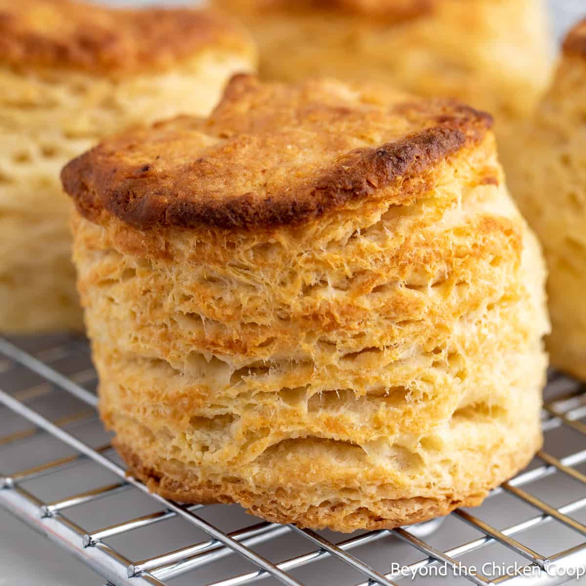 Buttermilk Pan Biscuits - Beyond The Chicken Coop