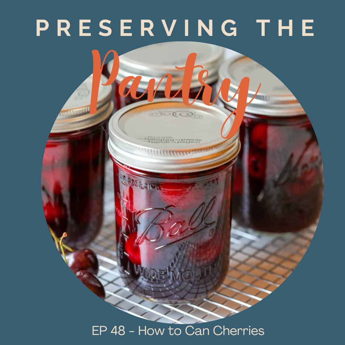 Canning jars filled with red cherries. 