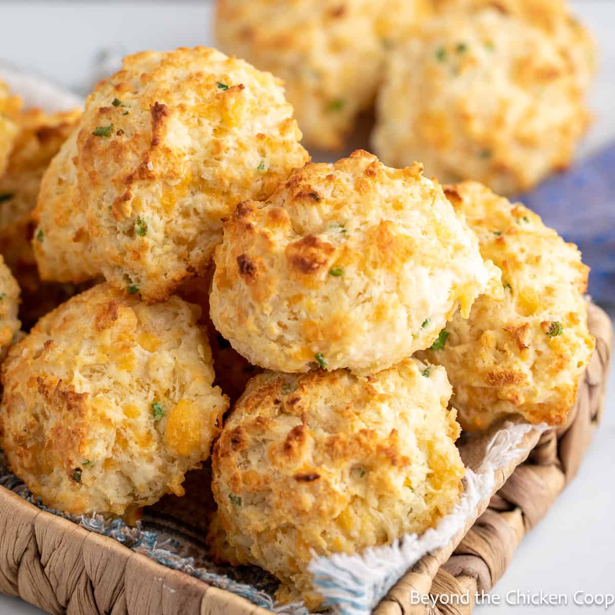 A basket filled with cheddar chive biscuits.