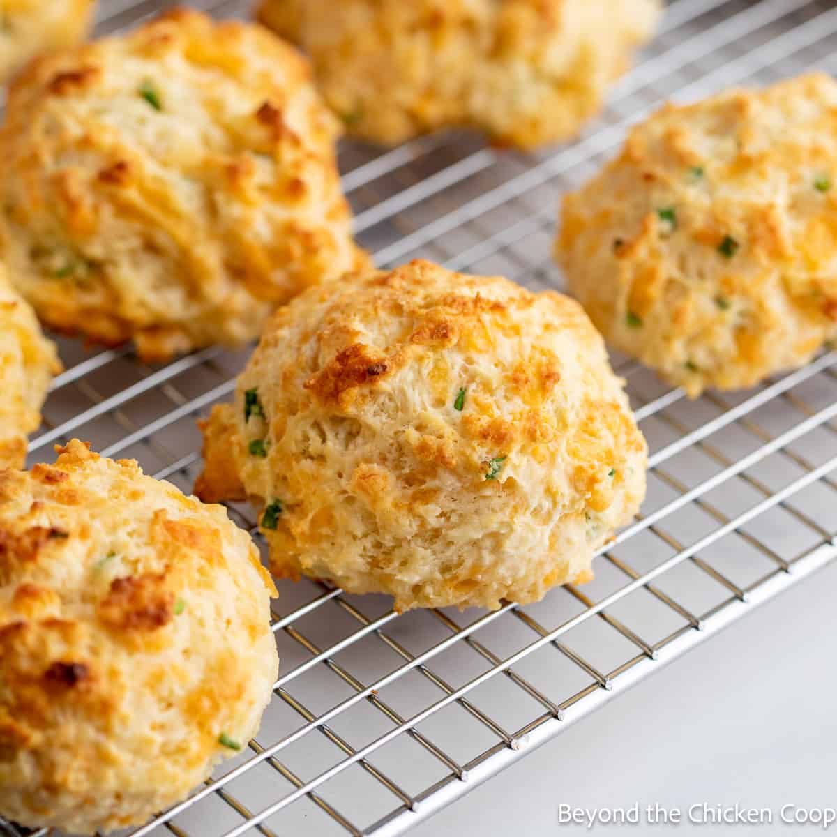 Biscuits with cheddar cheese and chives on a baking rack. 