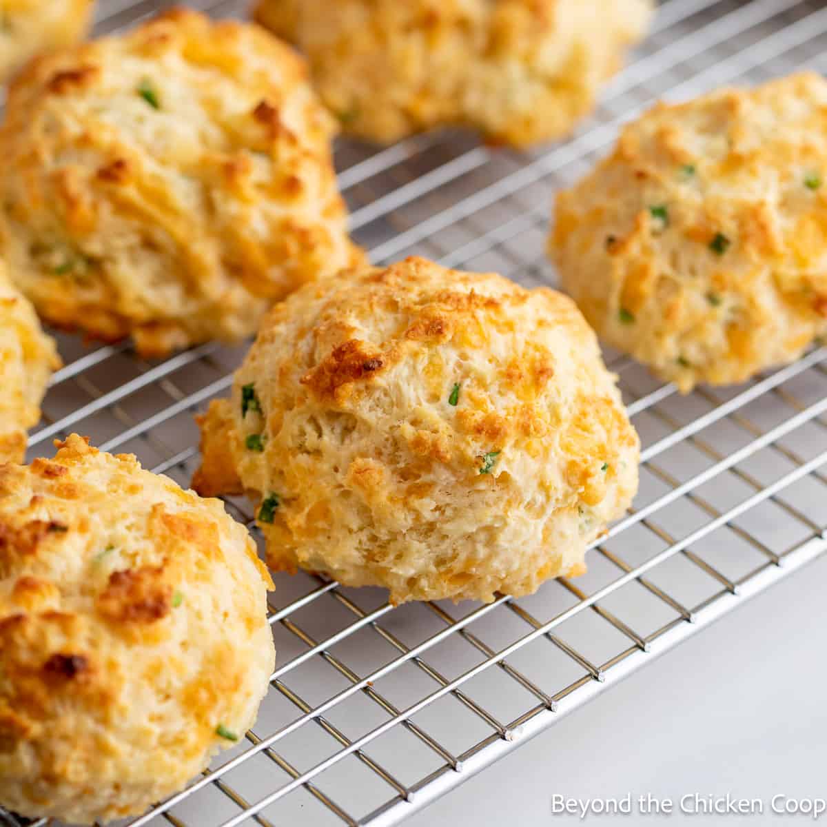 Drop biscuits with cheddar cheese and chives on a baking rack. 