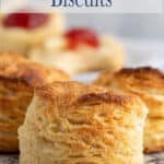 A plate filled with flaky biscuits.