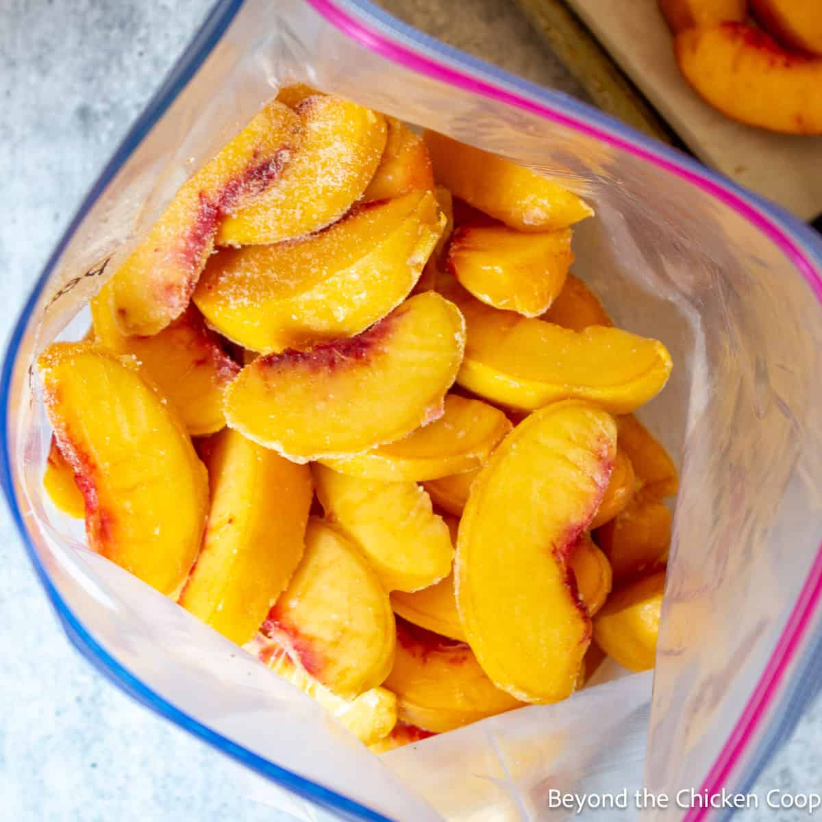 A ziplock bag filled with frozen peach slices. 