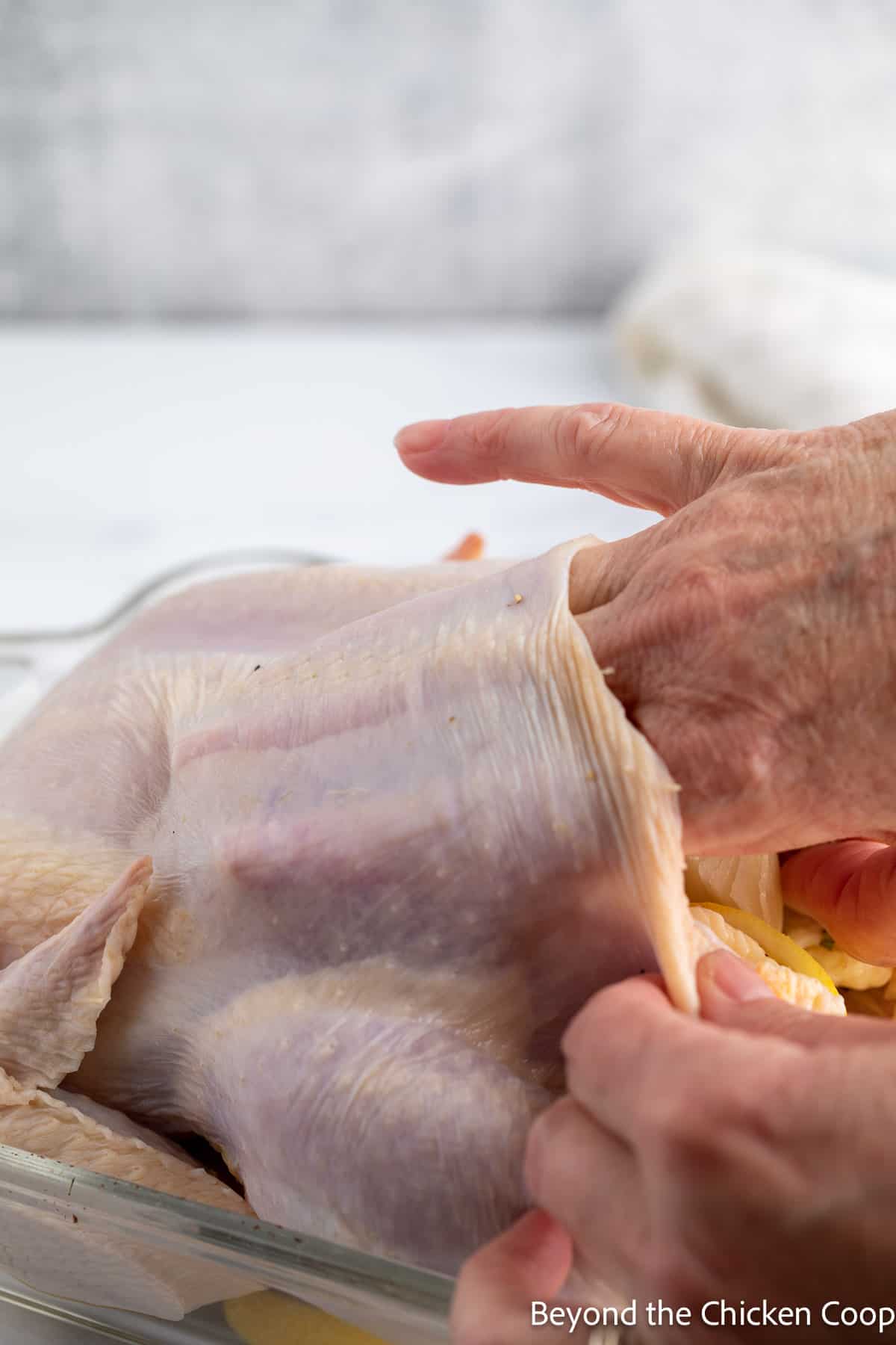 Creating a pocket under the skin of a chicken. 