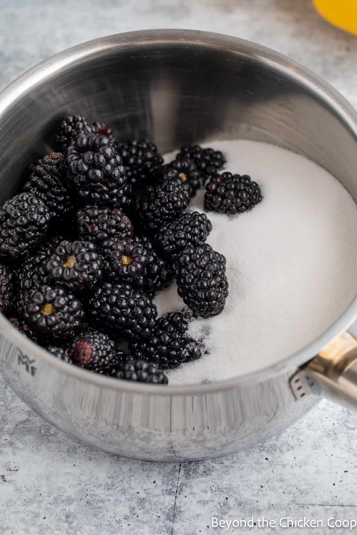 Blackberries and sugar in a pan. 