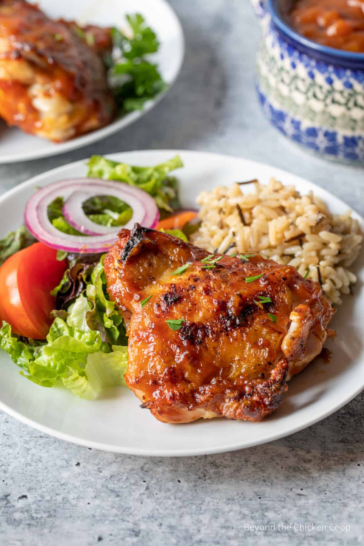 Grilled chicken with a salad and rice on a dinner plate. 