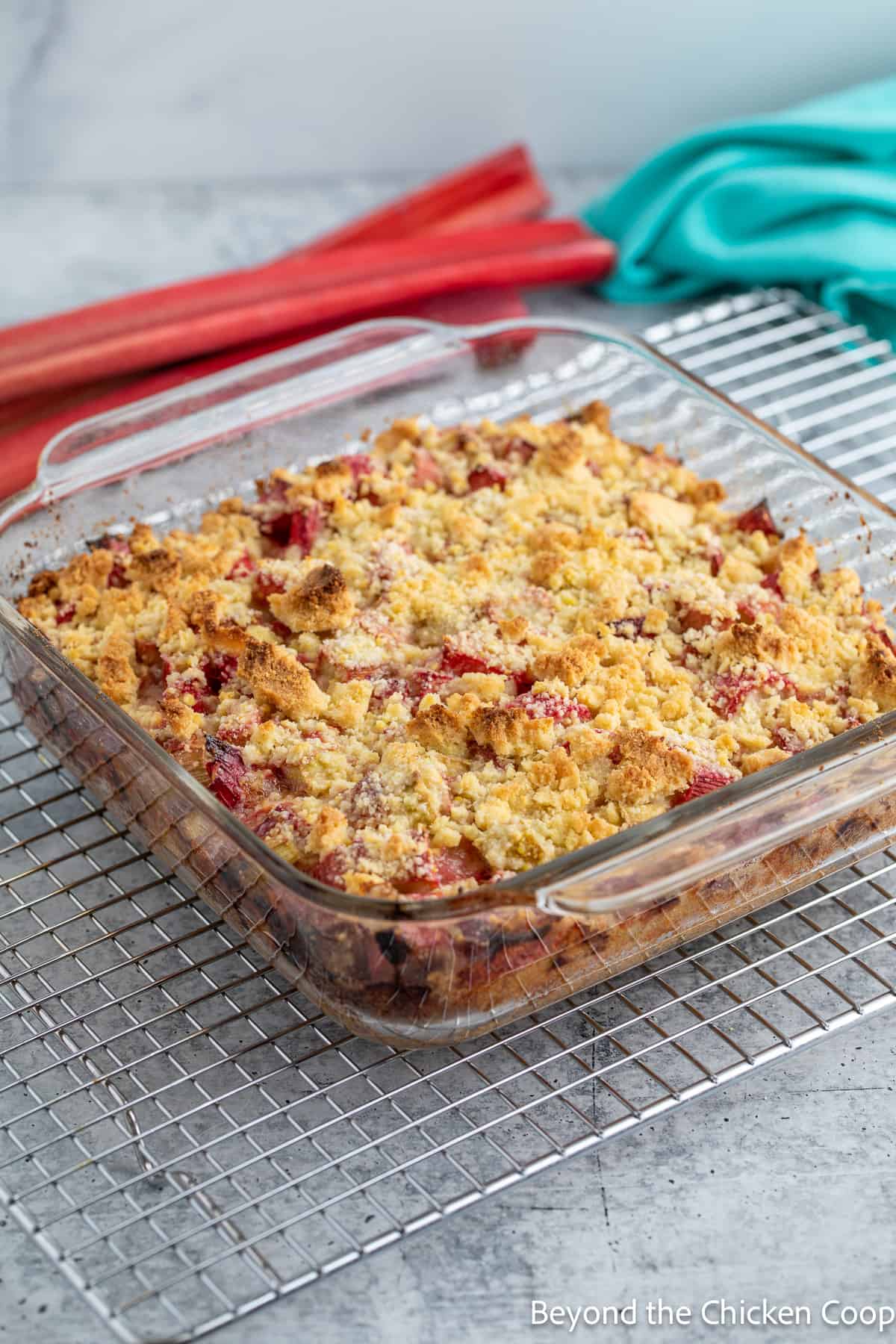 Rhubarb bars in a baking dish. 