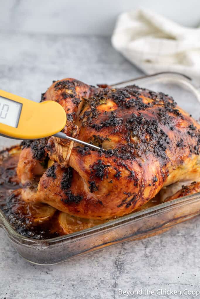 Testing a baked chicken with a digital thermometer. 
