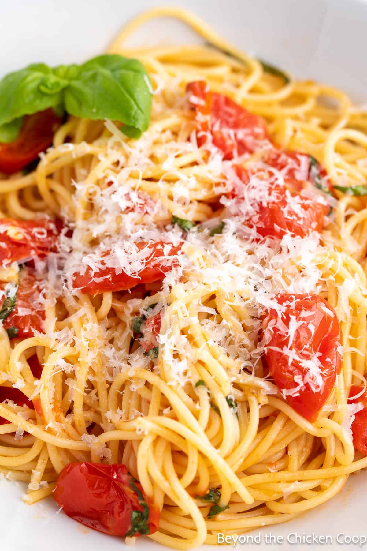 Spaghetti noodles with cherry tomatoes and parmesan.