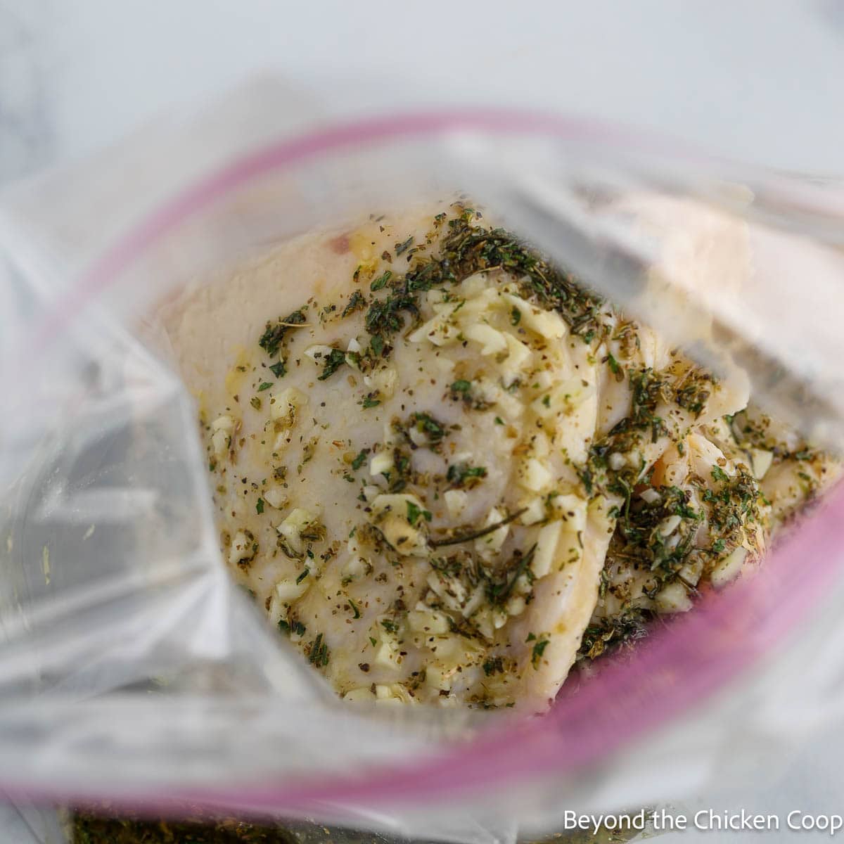 Chicken Thighs in a plastic zip top bag. 