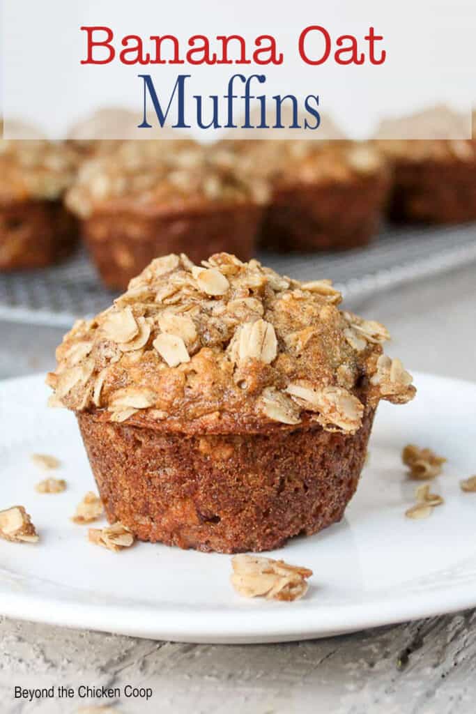 A muffin topped with oats on a white plate.