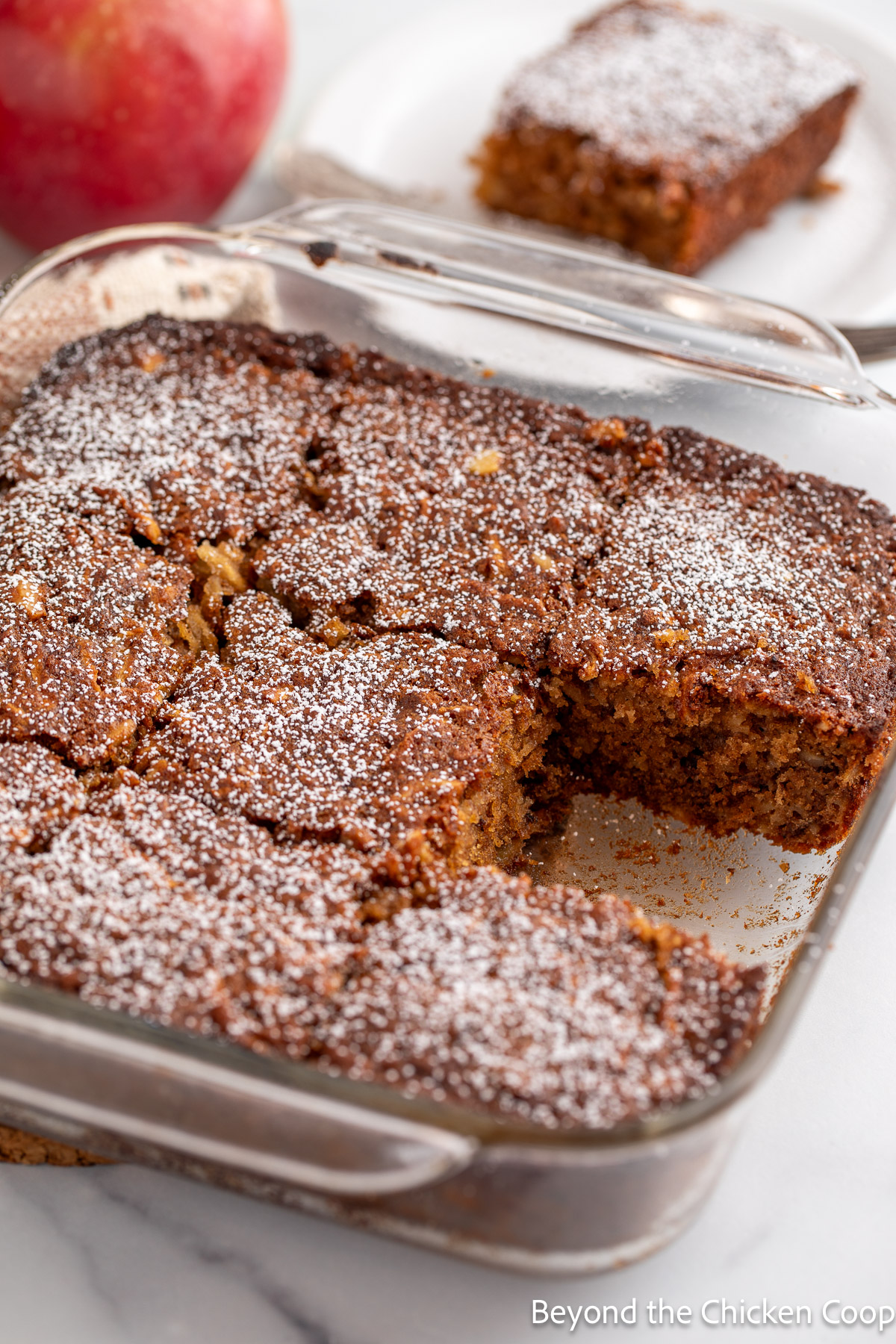 A baked cake in a pan topped with powdered sugar. 