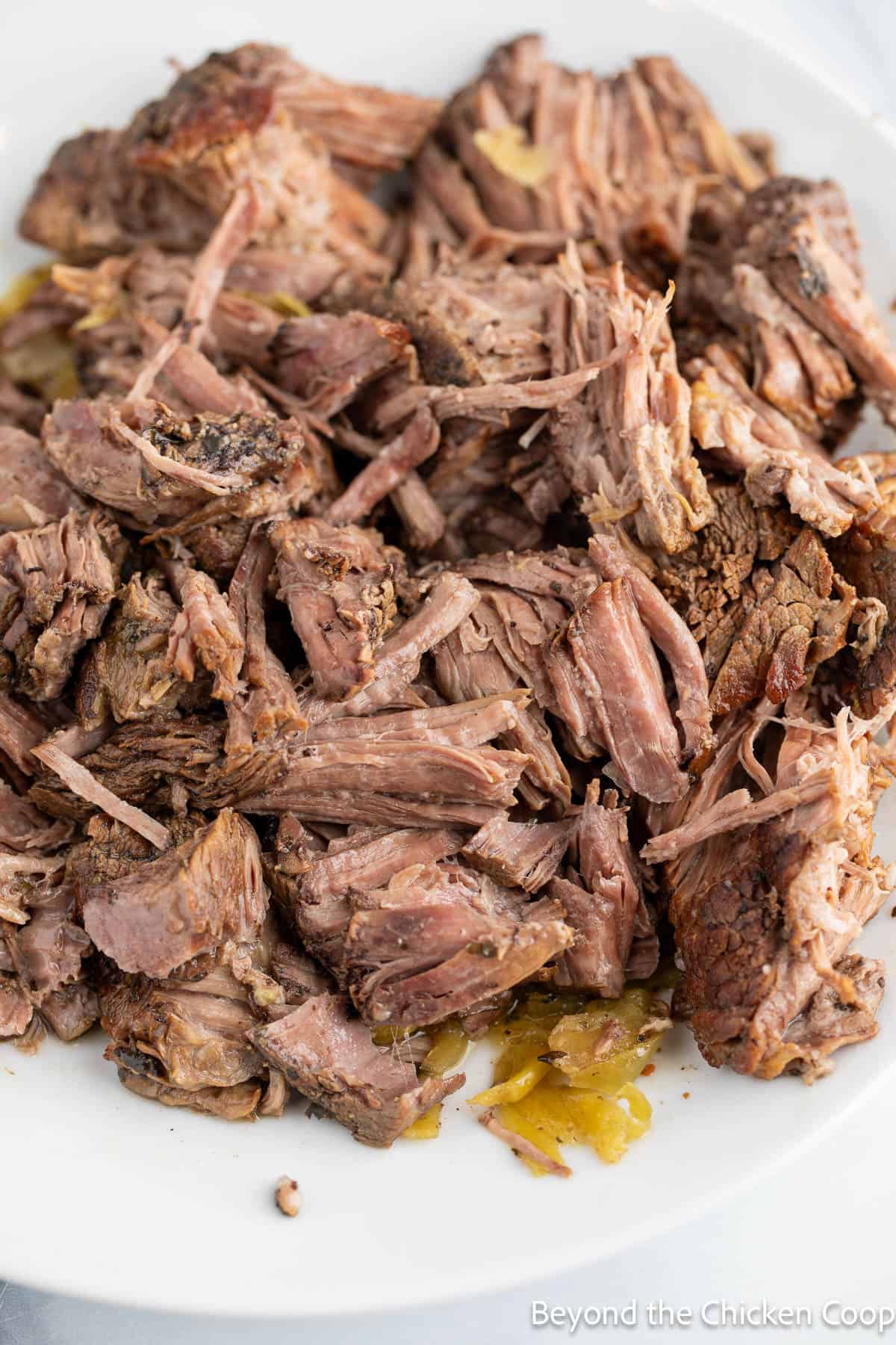 Shredded cooked beef into chunks. 