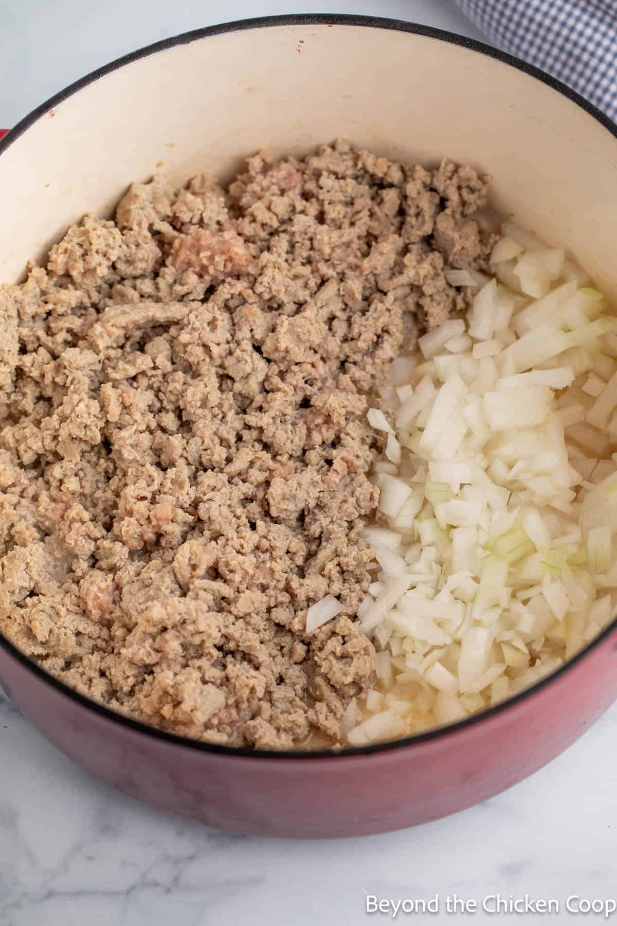Browning ground turkey and onions together in a pot. 