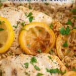 Chicken with slices of lemon and rice in a pan.