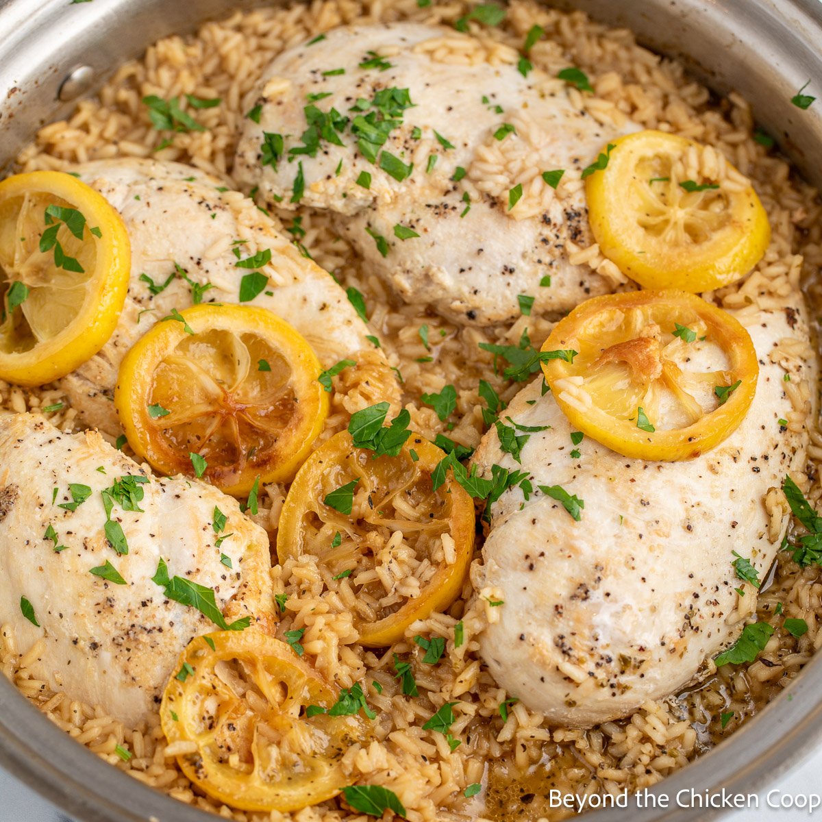 https://www.beyondthechickencoop.com/wp-content/uploads/2023/09/Lemon-Chicken-and-Rice-2.jpg