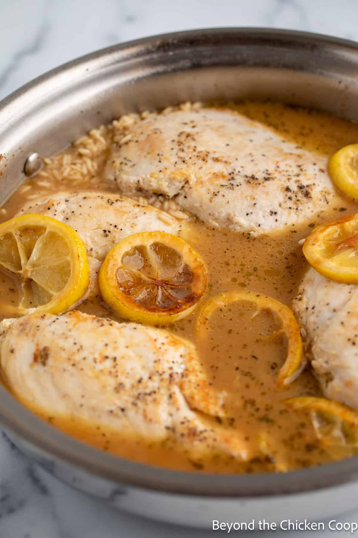 Chicken and rice in a skillet. 