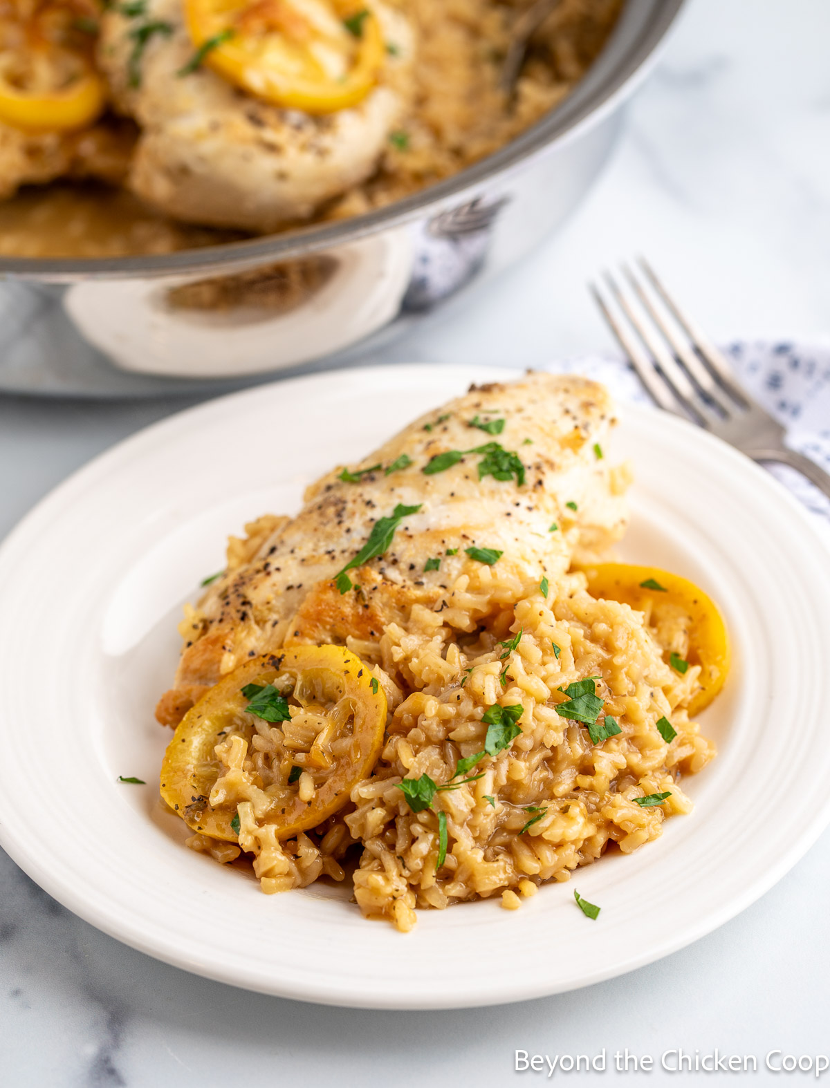 Chicken and rice on a white plate. 