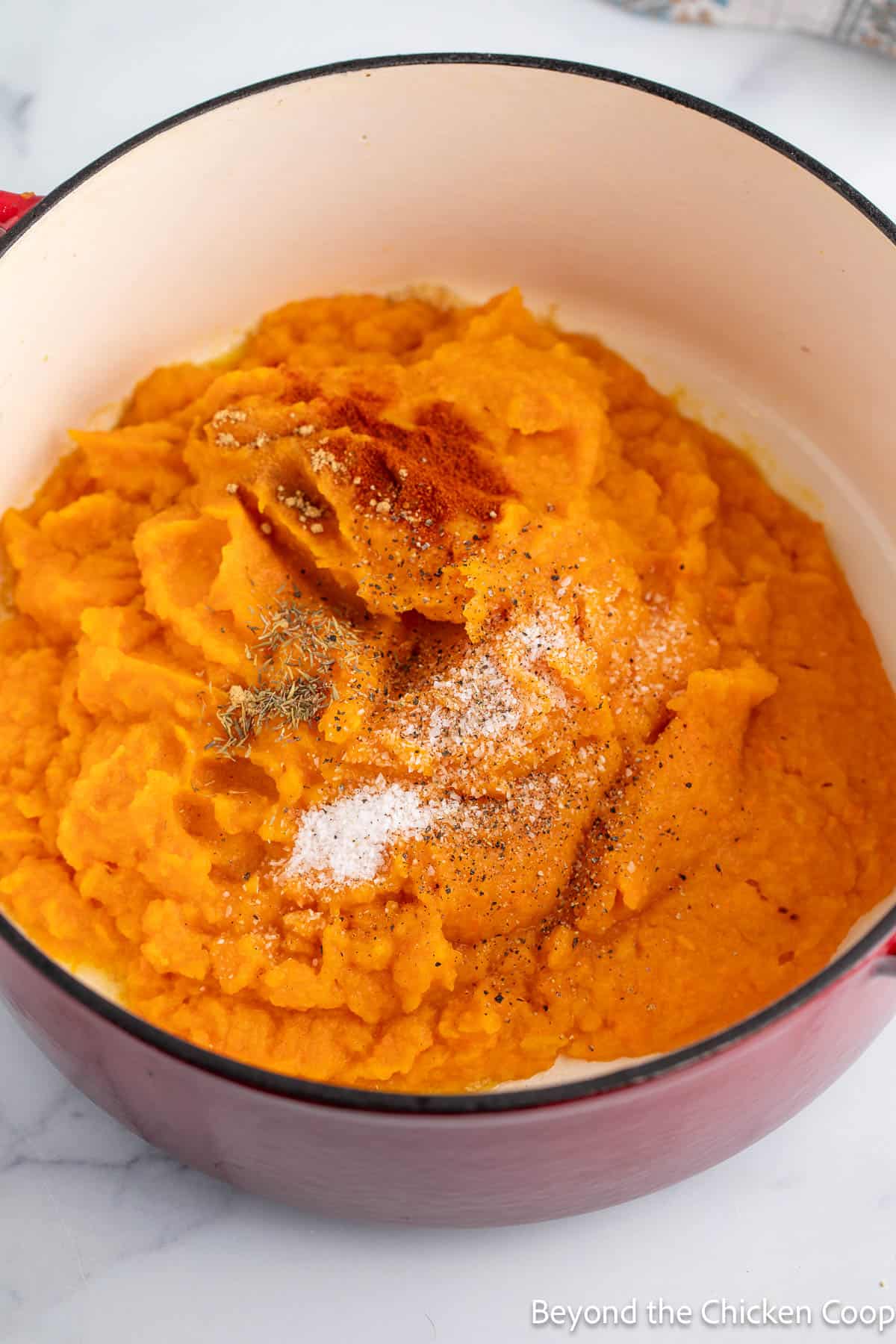 Pureed squash in a dutch oven with spices. 