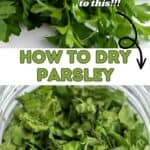 Fresh parsley and dried parsley in a jar.