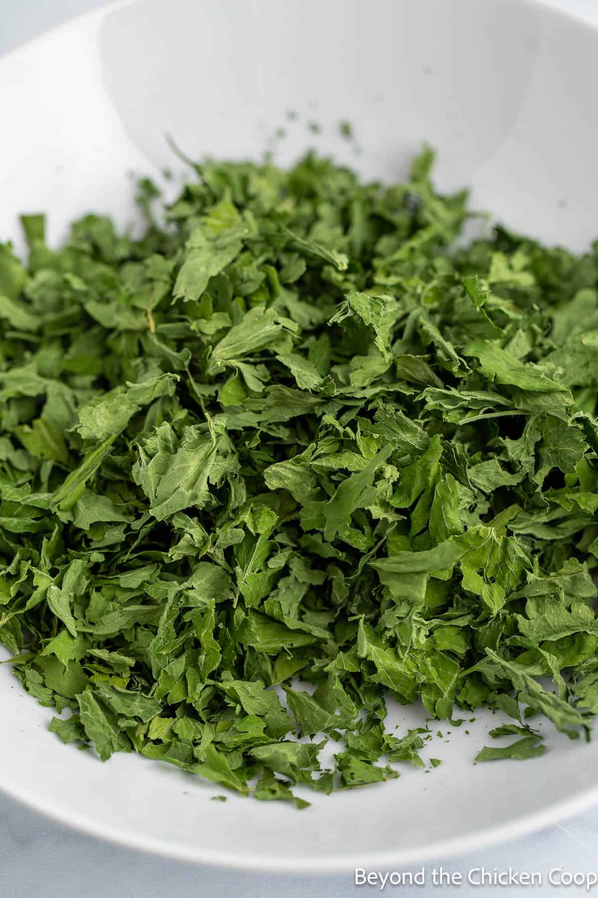 Dried parsley leaves in a white bowl. 