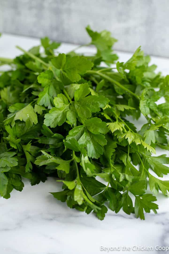 How to Dry Parsley Beyond The Chicken Coop